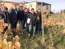 The group and the agricultural minister inspect the vineyard.